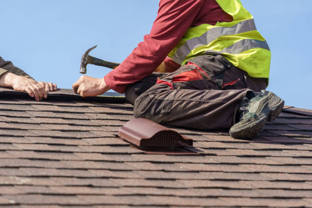 Best Local Roofing Companies  in Pioneer, OH