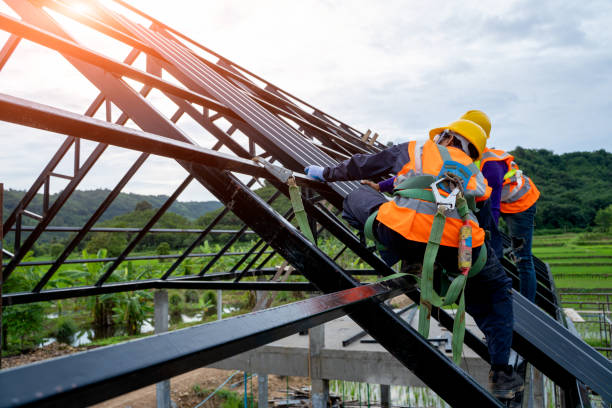 Best Roof Maintenance Services  in Pioneer, OH