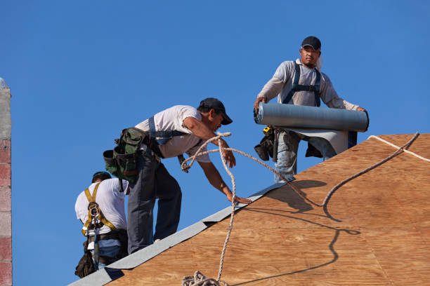 Best New Roof Installation  in Pioneer, OH