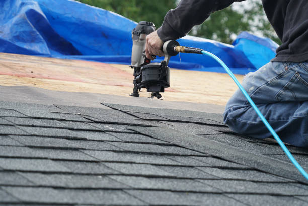 Best Metal Roofing Contractor  in Pioneer, OH