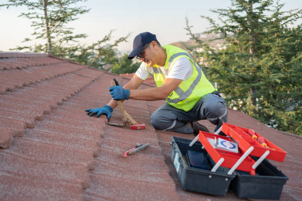 Best Flat Roof Repair Services  in Pioneer, OH